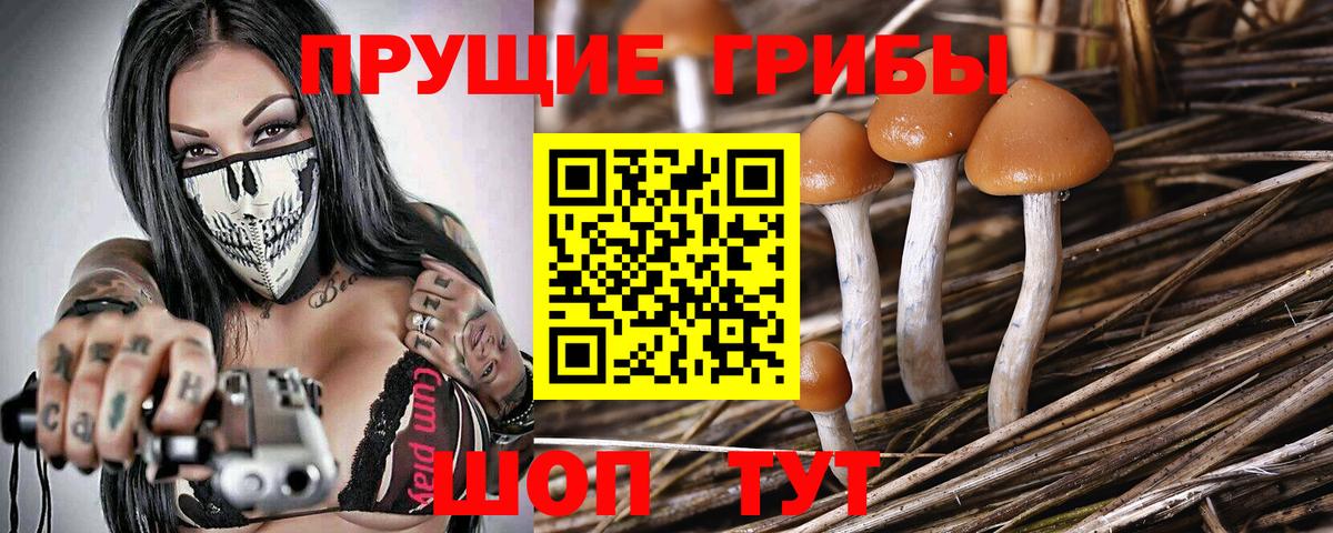 Галлюциногенные грибы MAGIC MUSHROOMS  Вход с VPN  Арсеньев 